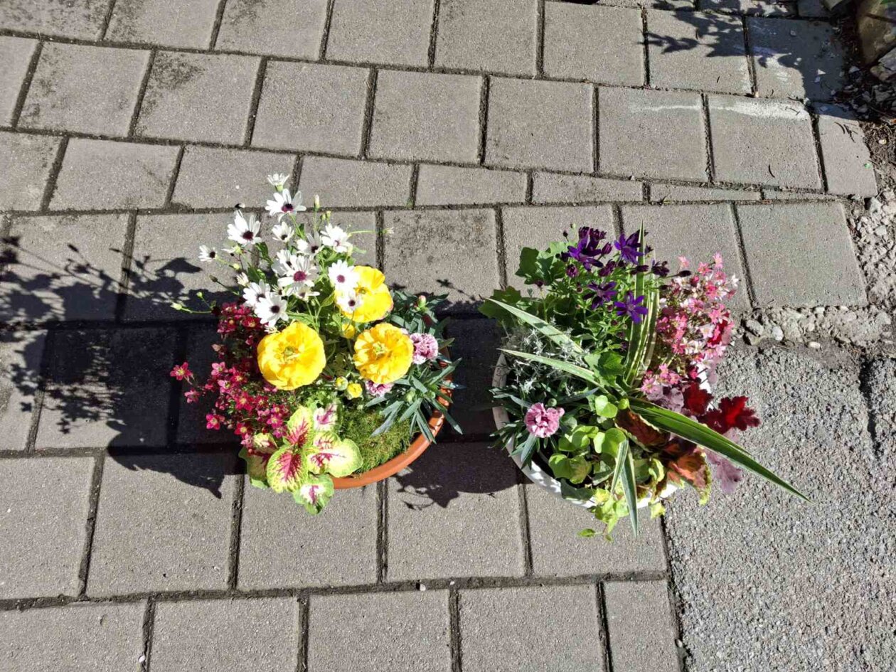 0-02-05-21816c34aebf195abcacd3c6312926430ff7e5954d8a92d75510b79c3b2e83b7_372b9adee544cb63 0-02-05-21816c34aebf195abcacd3c6312926430ff7e5954d8a92d75510b79c3b2e83b7_372b9adee544cb63