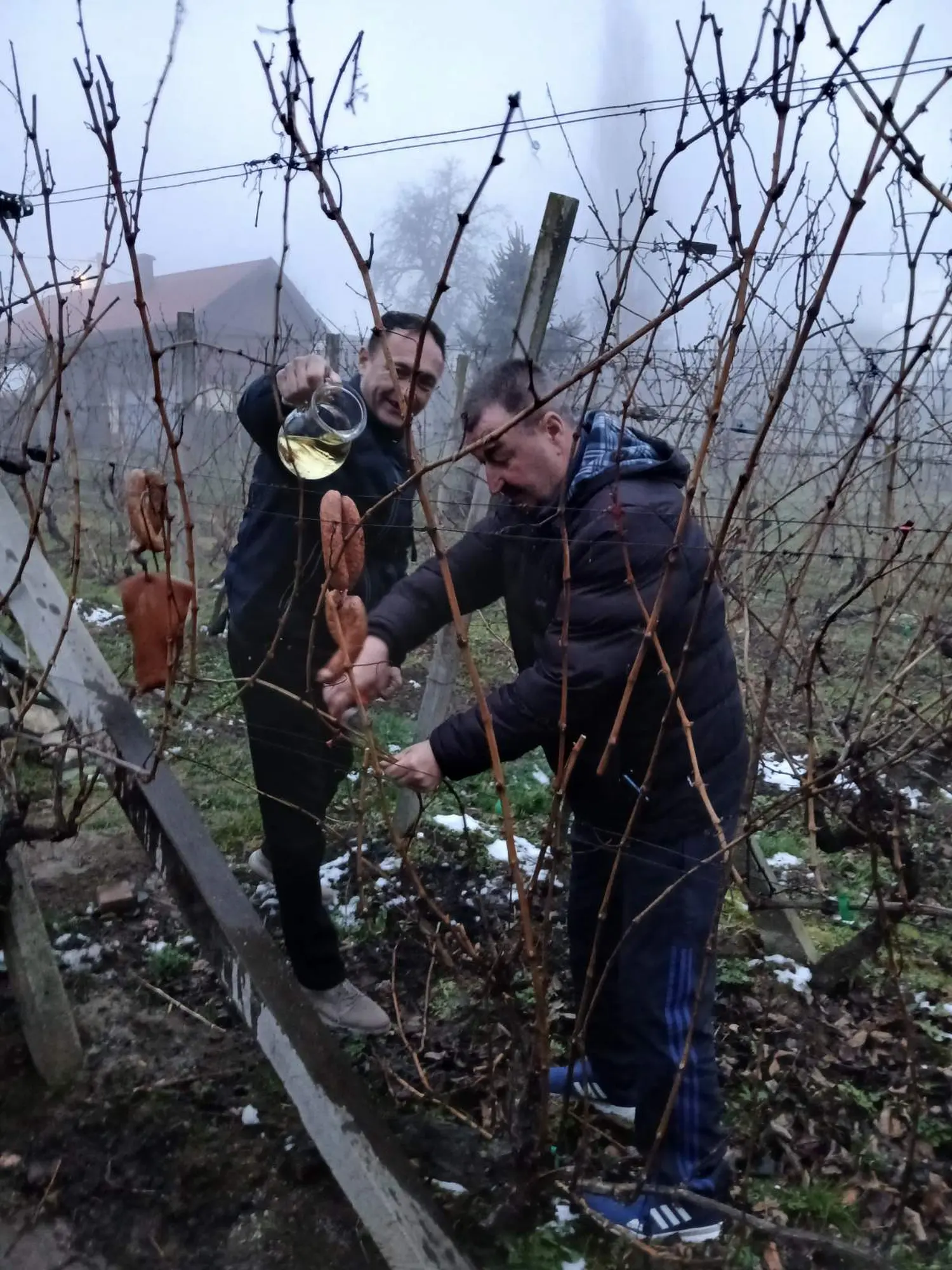 0-02-05-228b02fbf6697778be1013df3af0829e8e1024d109f5106a44433106ed1e74e1_5c6af0f2951b25bc 0-02-05-228b02fbf6697778be1013df3af0829e8e1024d109f5106a44433106ed1e74e1_5c6af0f2951b25bc