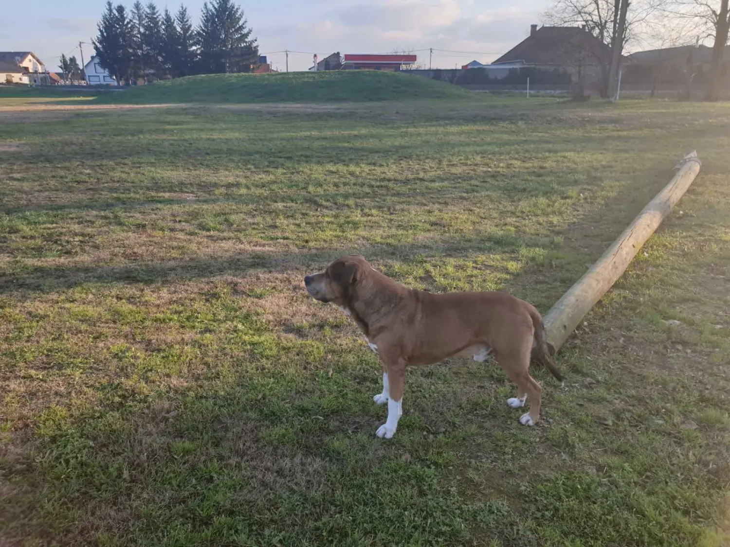 0-02-05-34ccc2a42a25cb203d6216b502c8fa5ebeecef0dc3c43a4efe40cf46149edc0c_c2adbdfad8690e9a 0-02-05-34ccc2a42a25cb203d6216b502c8fa5ebeecef0dc3c43a4efe40cf46149edc0c_c2adbdfad8690e9a