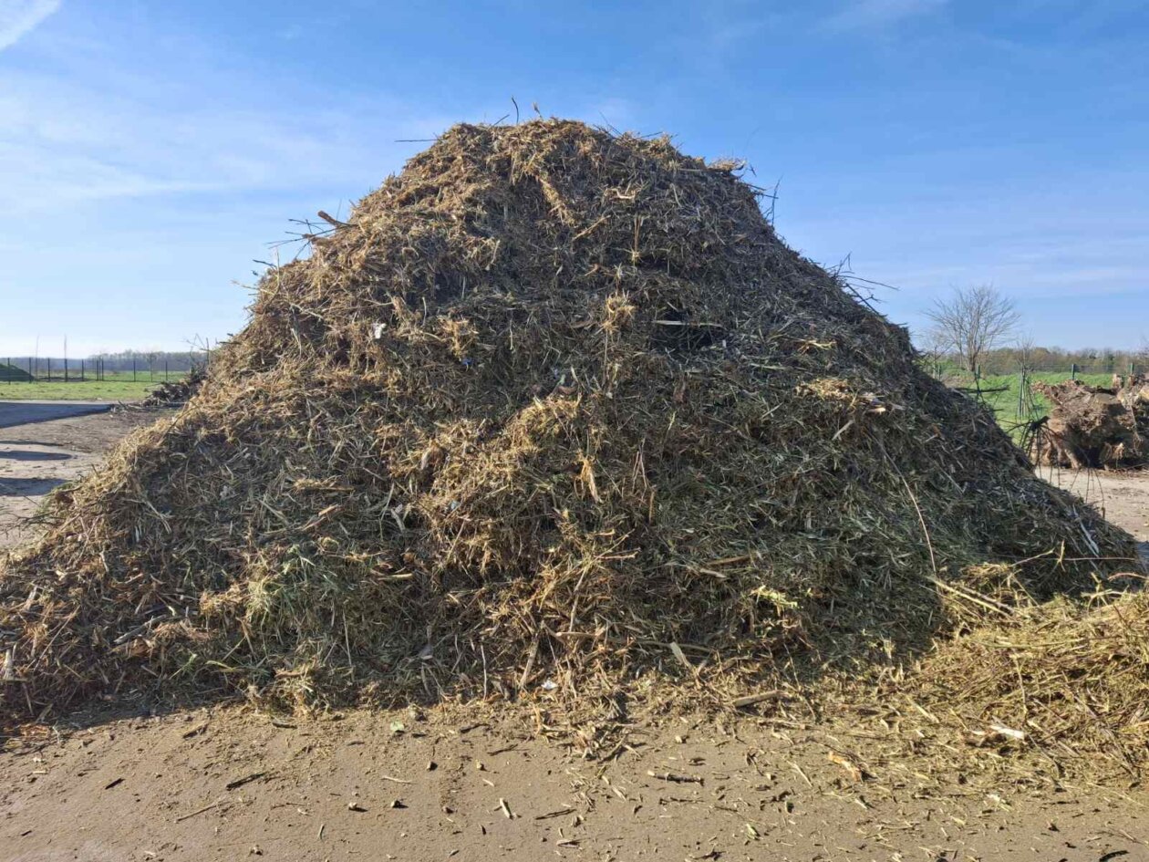 0-02-05-56098d59a748edf6362b27595024250cfb81fcbc6674d74dfa291bbf53cb3d27_d0fb5db3bc66e8c4