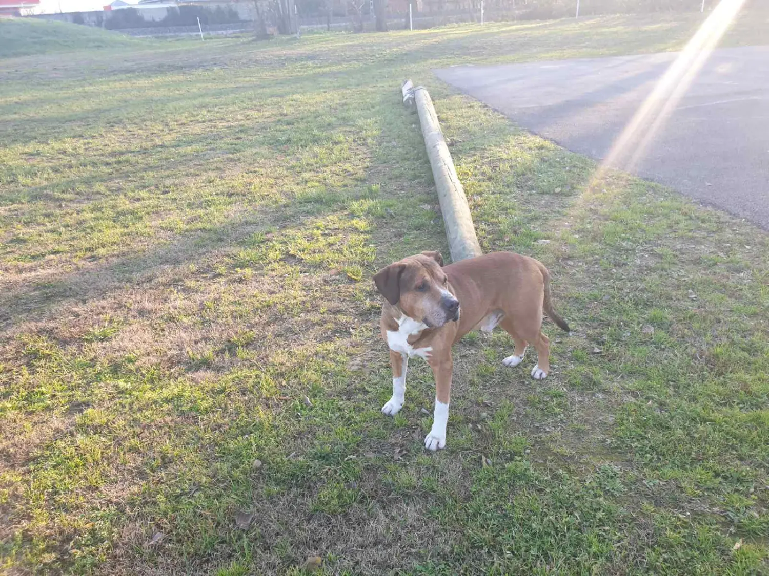 0-02-05-57220a6230a6d9997a8df78493c2c31153bc27838f024282742f02711ddb3df3_341911abe792fd87 0-02-05-57220a6230a6d9997a8df78493c2c31153bc27838f024282742f02711ddb3df3_341911abe792fd87