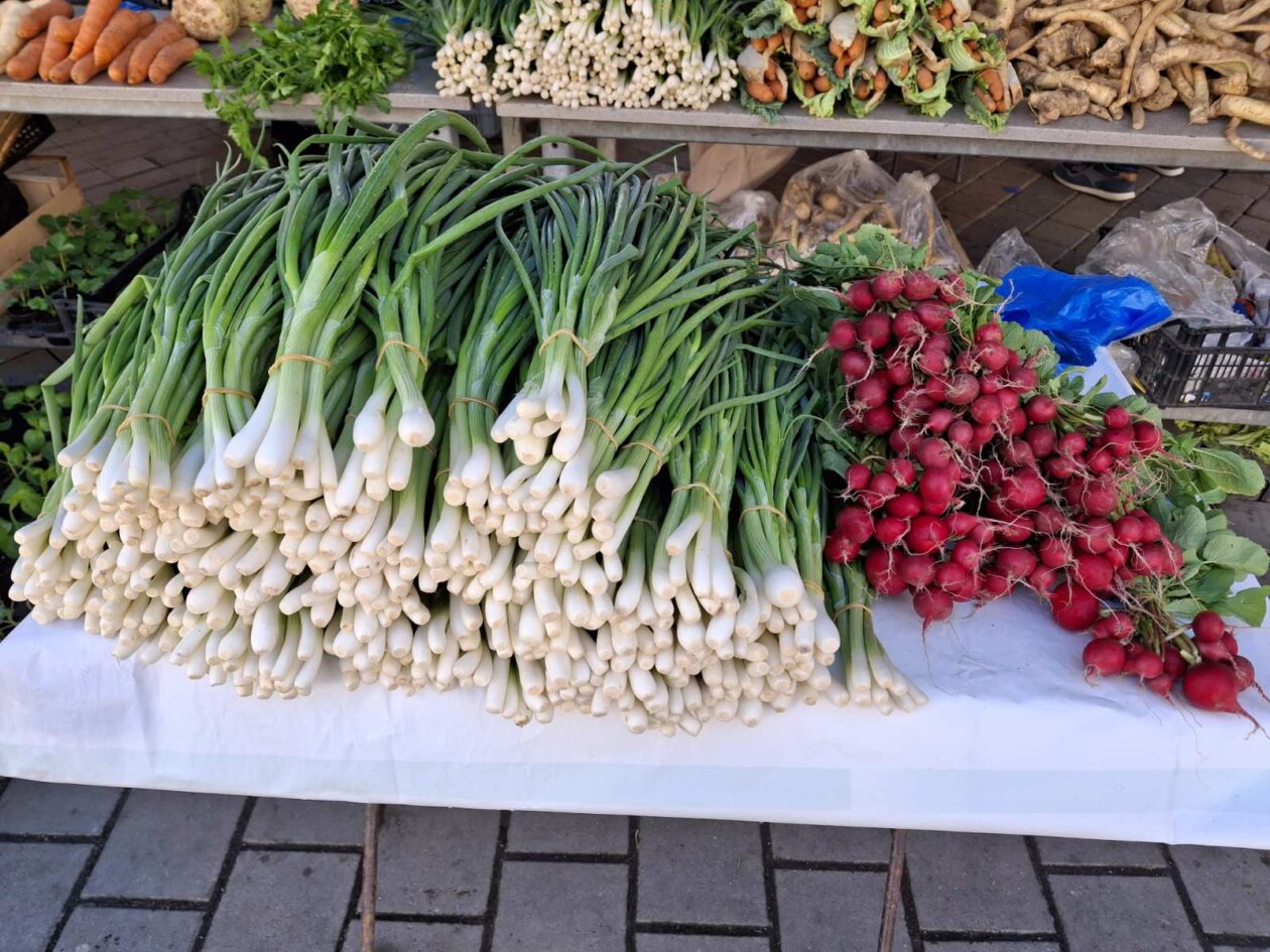 0-02-05-6ff3e7973b5c373f921378676174419d546baa40e71cb7ef1d53d3da99e6194d_a458277e6bb7cd1f 0-02-05-6ff3e7973b5c373f921378676174419d546baa40e71cb7ef1d53d3da99e6194d_a458277e6bb7cd1f