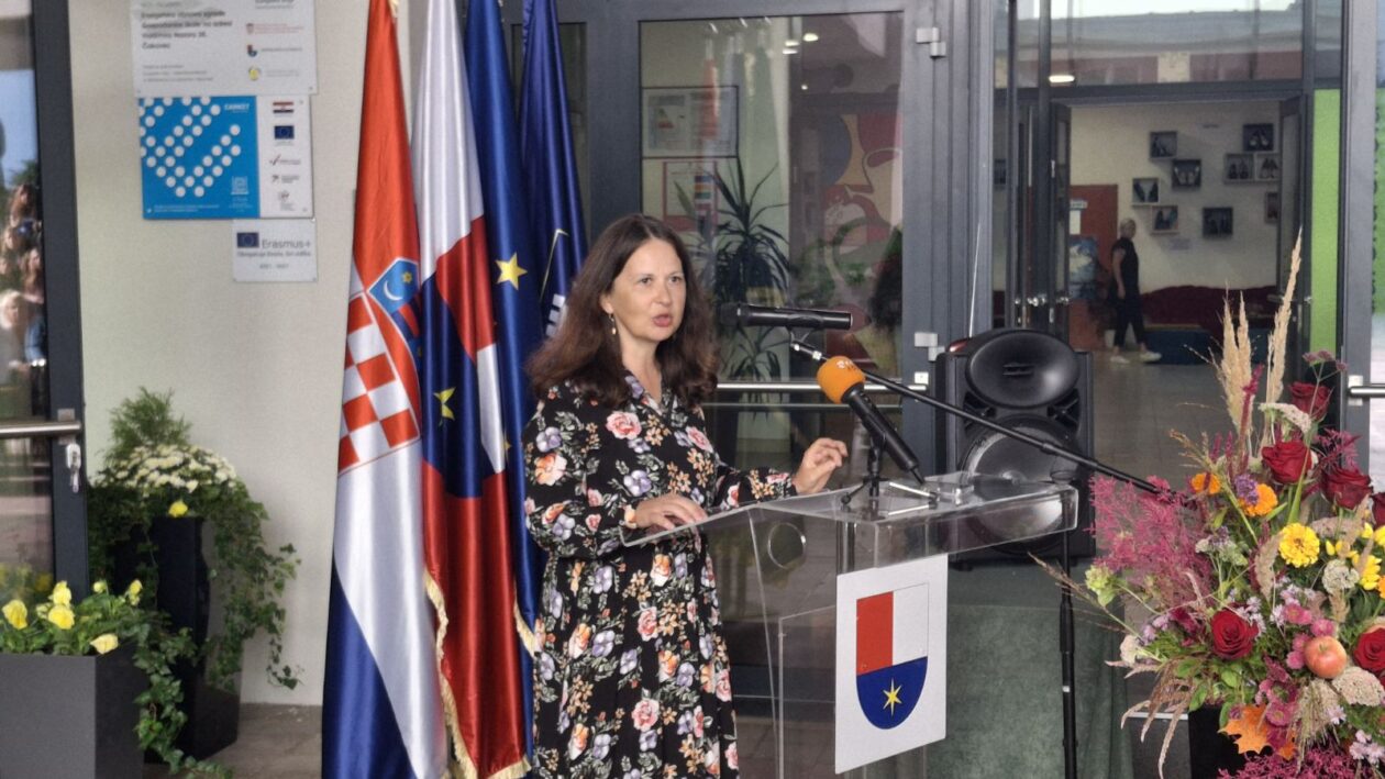 Vesna Stunković, ravnateljica