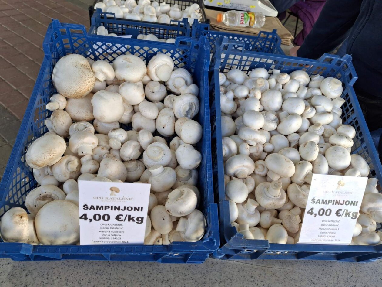 0-02-05-8e3ffd8aa74f8db02d5a30d811b4a57ad0c68d540bdd79d7e7ee3fe9adc50c18_eb781c8912b91928 0-02-05-8e3ffd8aa74f8db02d5a30d811b4a57ad0c68d540bdd79d7e7ee3fe9adc50c18_eb781c8912b91928