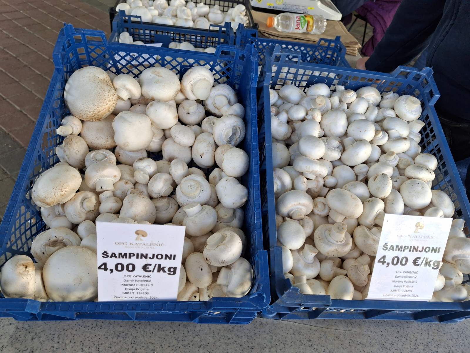 0-02-05-8e3ffd8aa74f8db02d5a30d811b4a57ad0c68d540bdd79d7e7ee3fe9adc50c18_eb781c8912b91928 0-02-05-8e3ffd8aa74f8db02d5a30d811b4a57ad0c68d540bdd79d7e7ee3fe9adc50c18_eb781c8912b91928