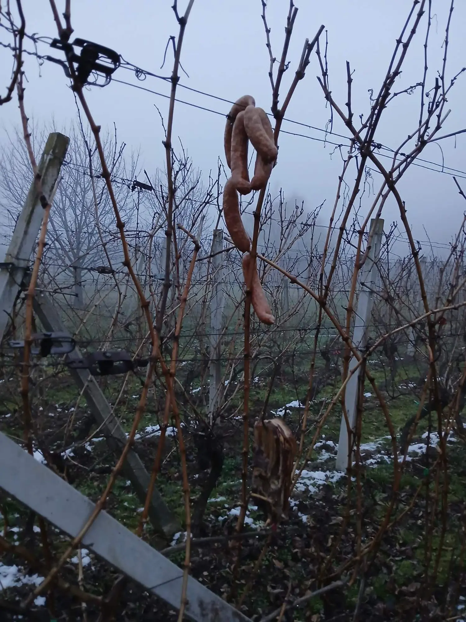 0-02-05-aff7d8471226fe9175ae42888fc074d6c107f562a2214513ffcc002ce4749d22_39f6151cccd7bddc 0-02-05-aff7d8471226fe9175ae42888fc074d6c107f562a2214513ffcc002ce4749d22_39f6151cccd7bddc