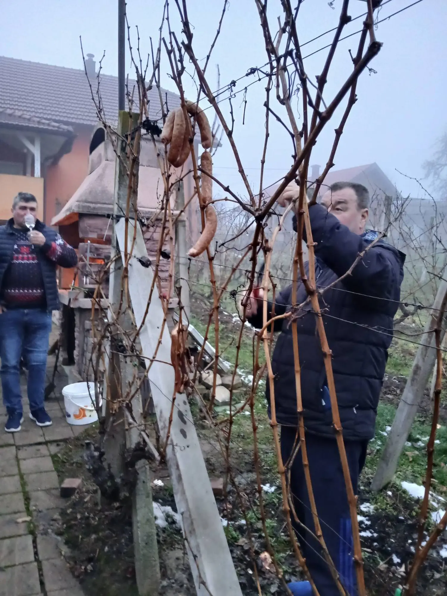 0-02-05-ba853a93970b9410096703bff36c6d14ddf9cc96d568c05e0dadfa896244a5fb_cebea5e72ad4b342 0-02-05-ba853a93970b9410096703bff36c6d14ddf9cc96d568c05e0dadfa896244a5fb_cebea5e72ad4b342