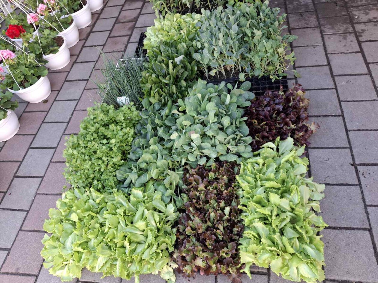 0-02-05-cadaca472b8c89a70f97cd6bd37b8c74fc914b88e783c1039c79415b733a0c4e_6ebf9f6b8ae7b15b 0-02-05-cadaca472b8c89a70f97cd6bd37b8c74fc914b88e783c1039c79415b733a0c4e_6ebf9f6b8ae7b15b