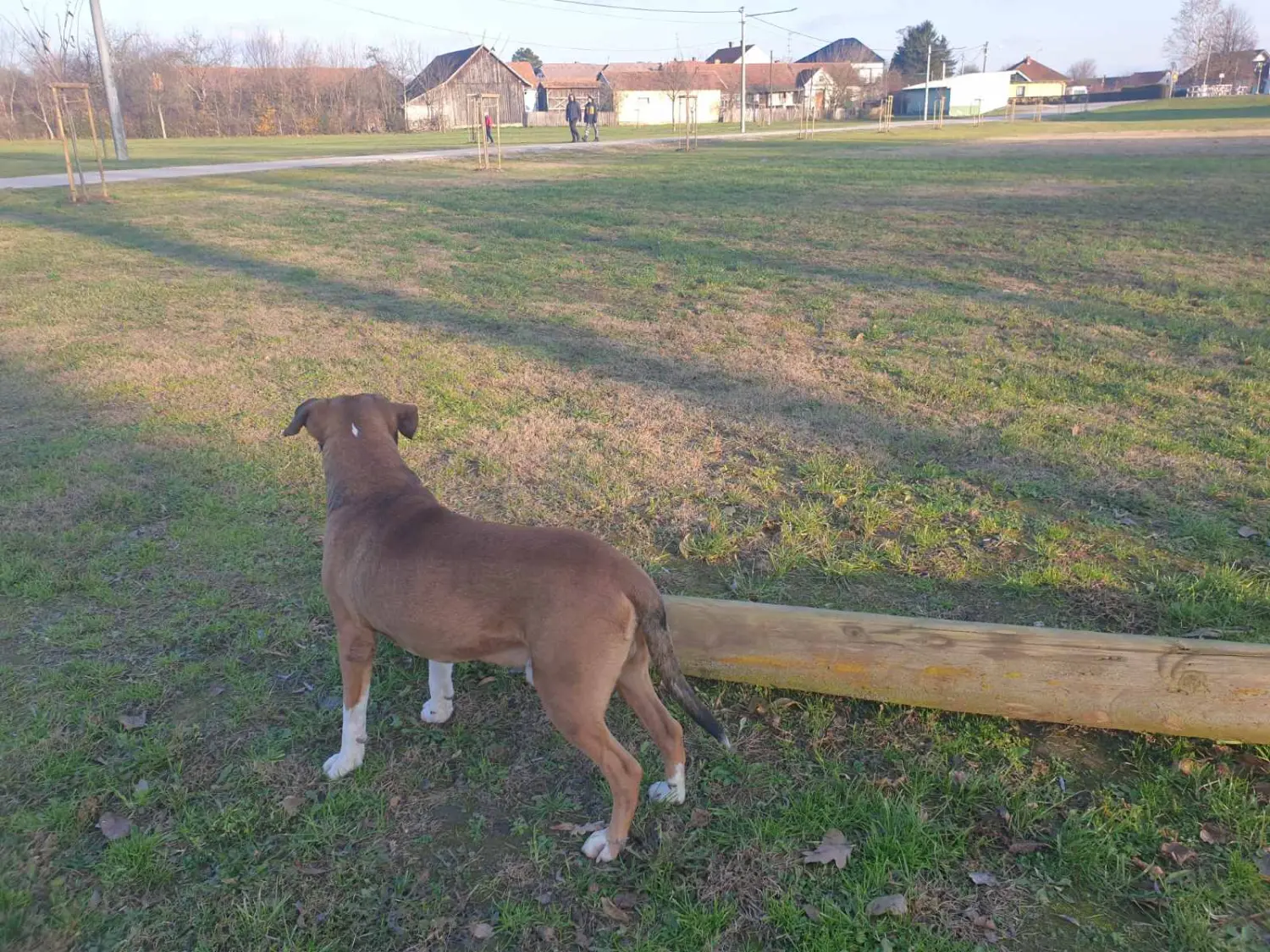 0-02-05-e74d2471357695a4d228e4e72f96d964ee698964aa446a0758dbb039cdb4f262_2f9852a974830d71 0-02-05-e74d2471357695a4d228e4e72f96d964ee698964aa446a0758dbb039cdb4f262_2f9852a974830d71