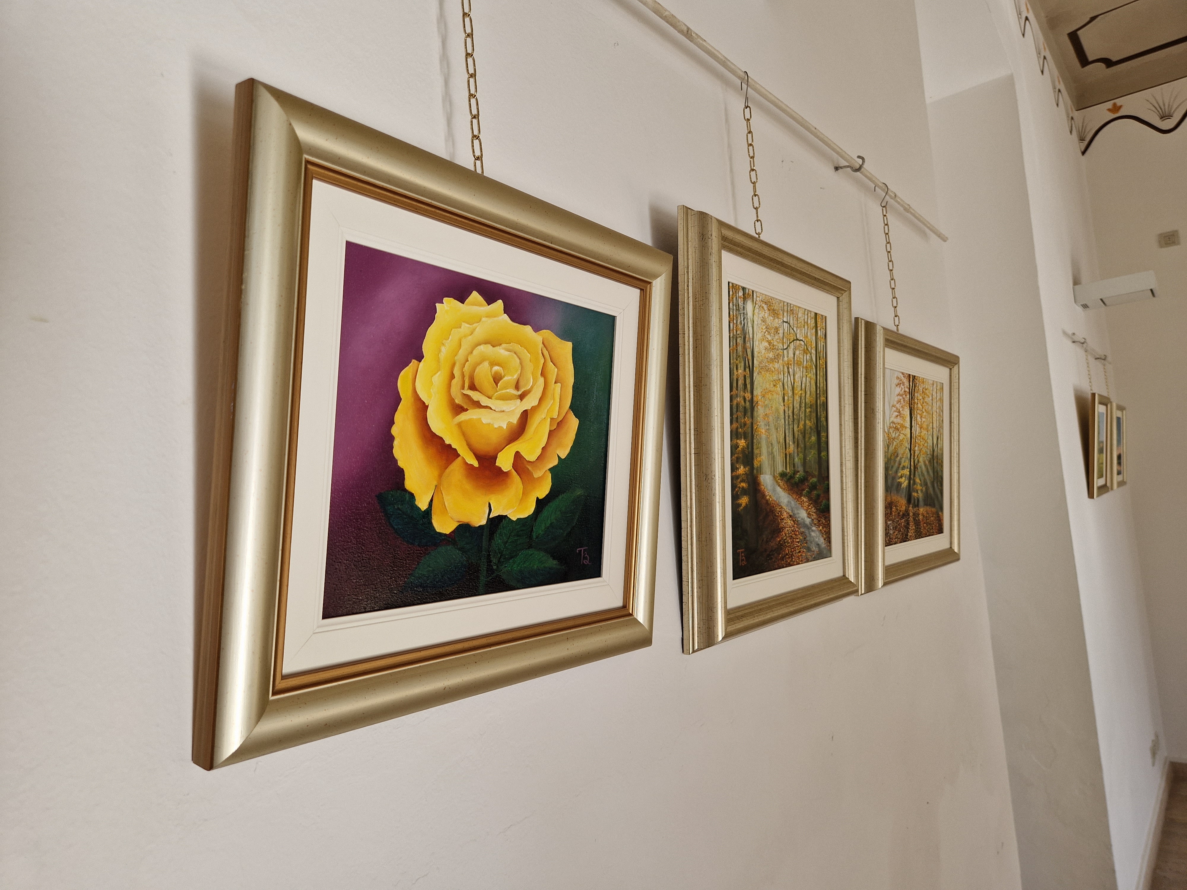 Svijet boja Branke Toplek