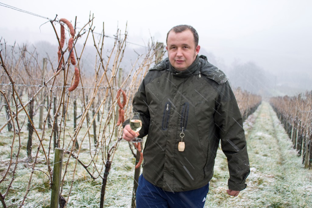 img8514vincekovo262653