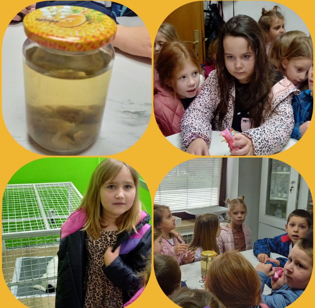 CVJETIĆI POSJETILI VETERINARA Djeca su imala prilike proći kroz cijelu ambulantu za kućne ljubimce