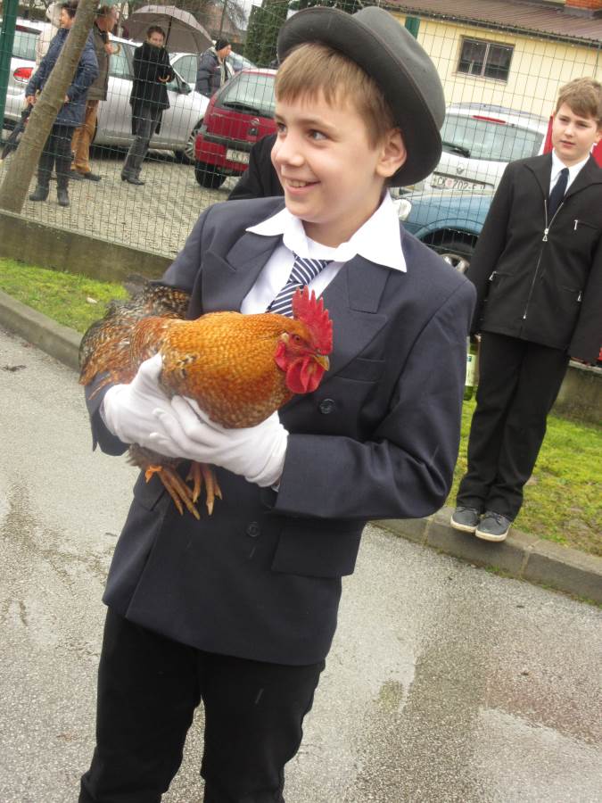 335914385img2365optimized876327