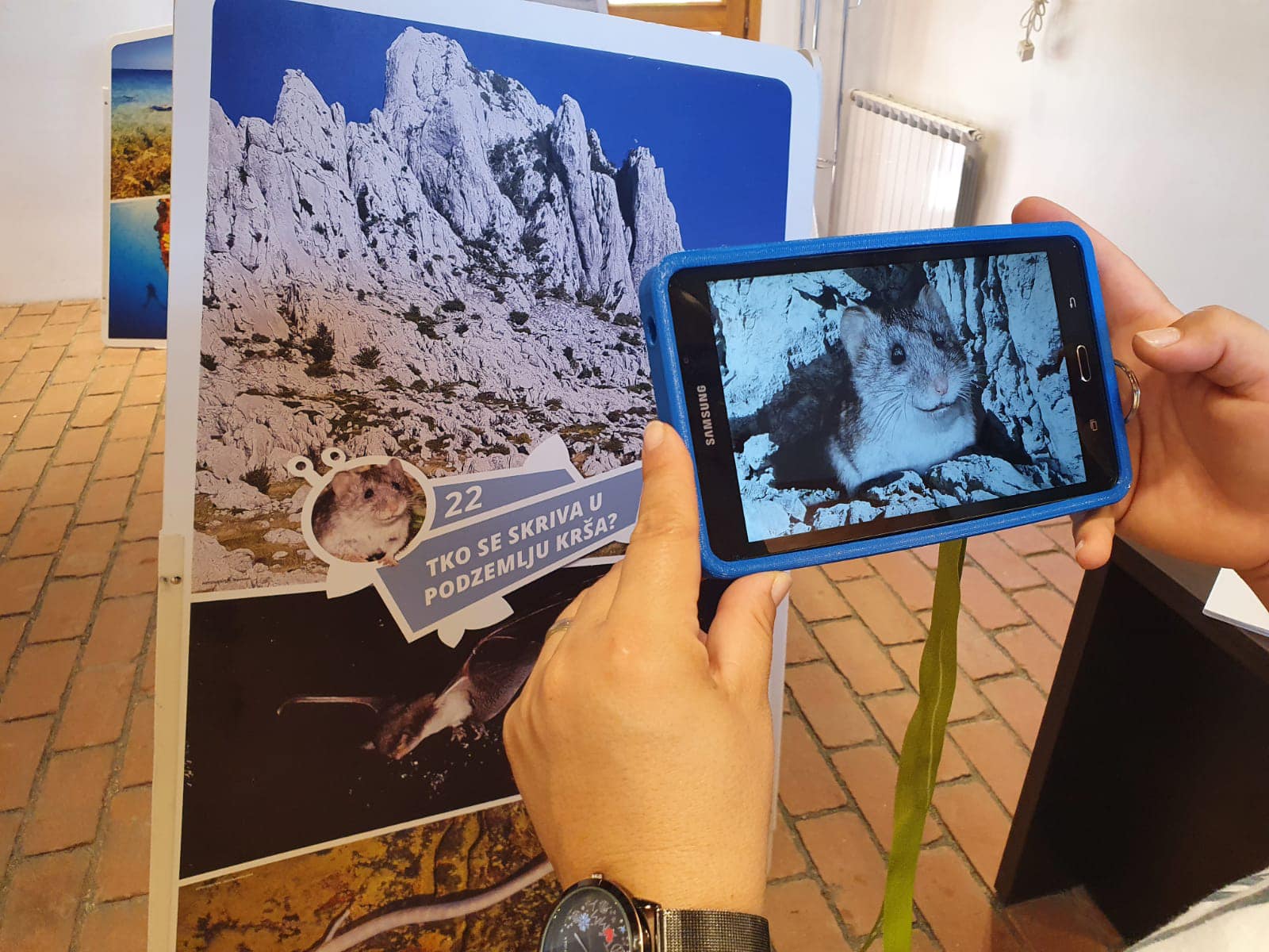 MEĐIMURSKA PRIRODA Doživite mobilnu izložbu ‘Diverterra’ u Kotoribi od 11. do 17. rujna MEĐIMURSKA PRIRODA Doživite mobilnu izložbu ‘Diverterra’ u Kotoribi od 11. do 17. rujna