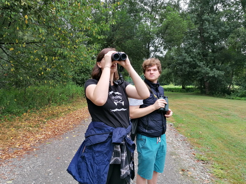 MEĐIMURSKA PRIRODA Ptičari tijekom dva sata opazili više od dvadeset ptičjih vrsta