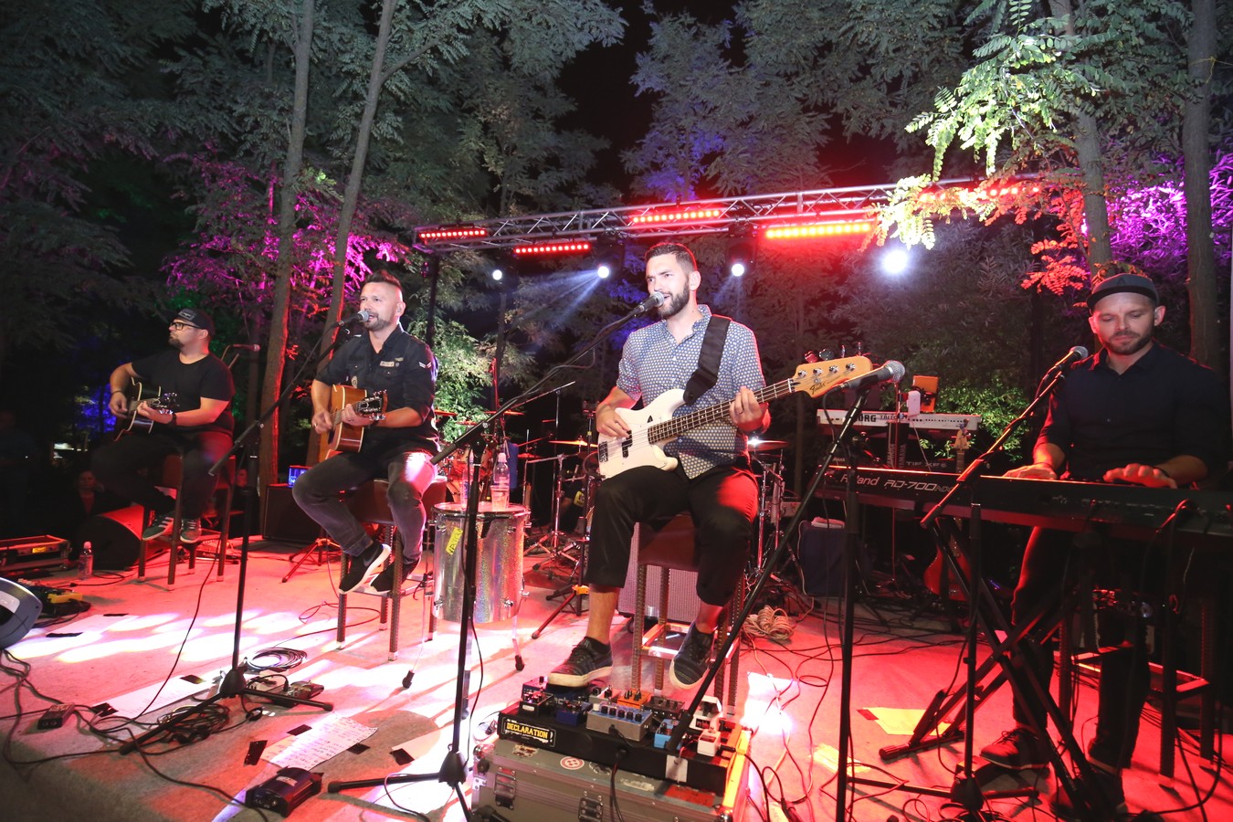 Odličan koncert Vatre u predivnom ambijentu Mađerkinog brega