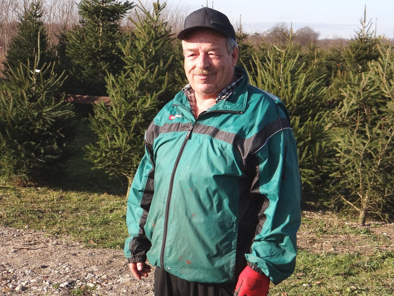 Provjerili smo cijene božićnih drvaca u Međimurju: Ponuda iz godine u godinu sve bogatija Provjerili smo cijene božićnih drvaca u Međimurju: Ponuda iz godine u godinu sve bogatija