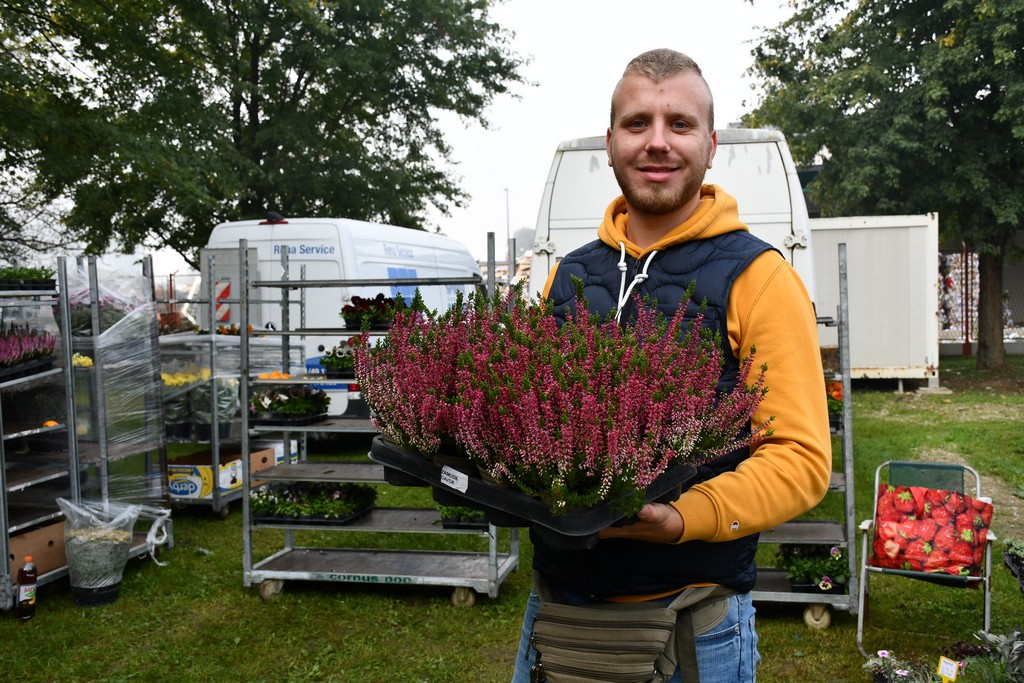 FOTO S dolaskom hladnijih dana povećan interes za kupnju drva za ogrjev