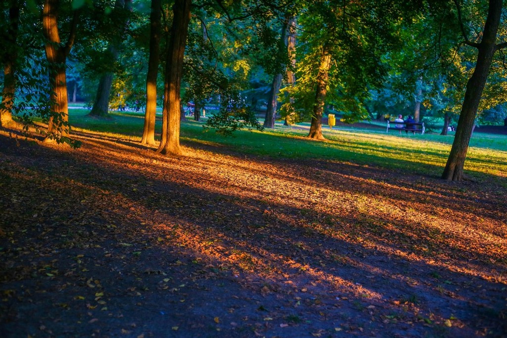 Šetnja gradom uz čarobne efekte zlatnog sata
