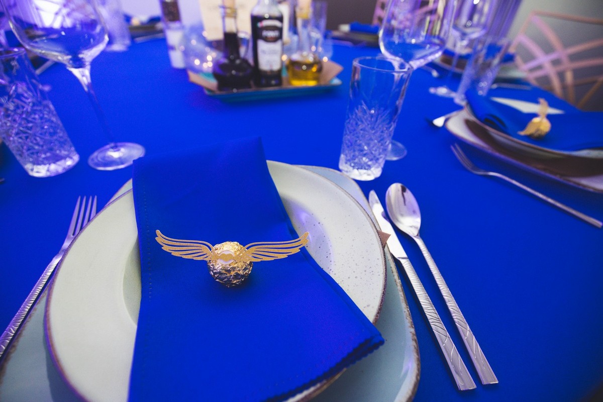 Harry Potter vječanje Harry Potter vječanje