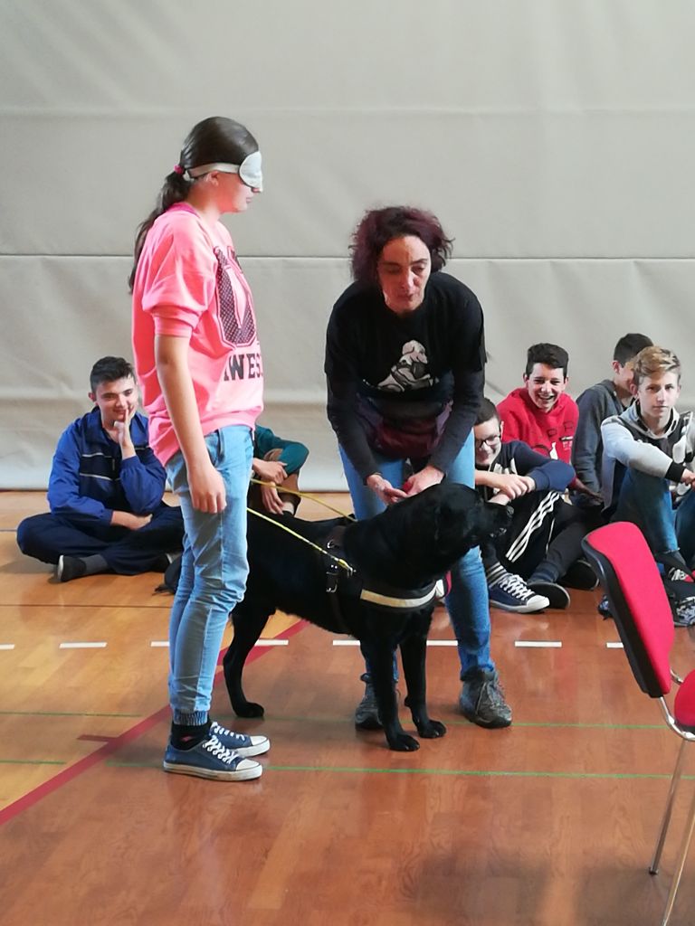 img20171018103556519899