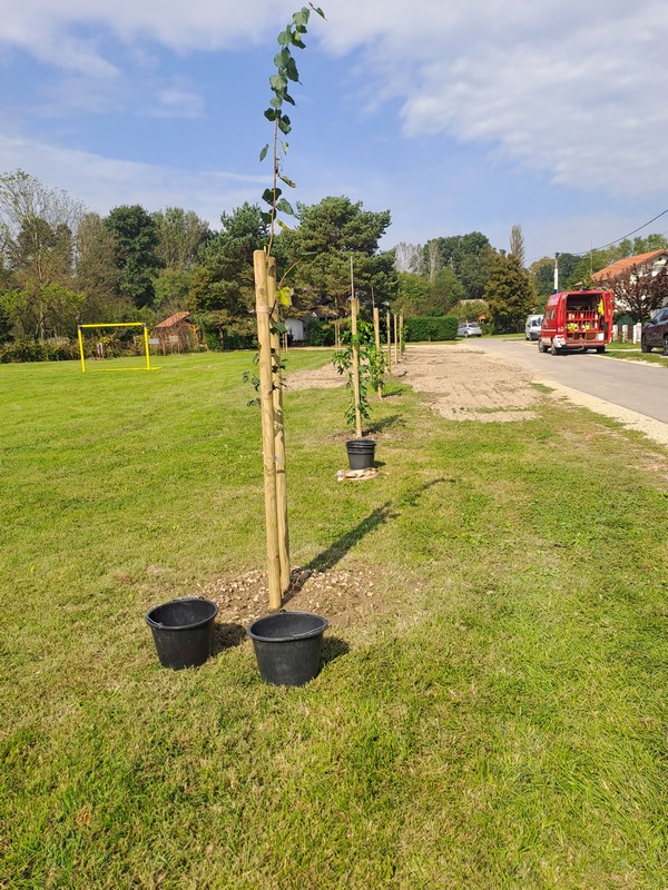 DONJI MIHALJEVEC Mještani ujedinjeni u sadnji drveća i bojanju igrala