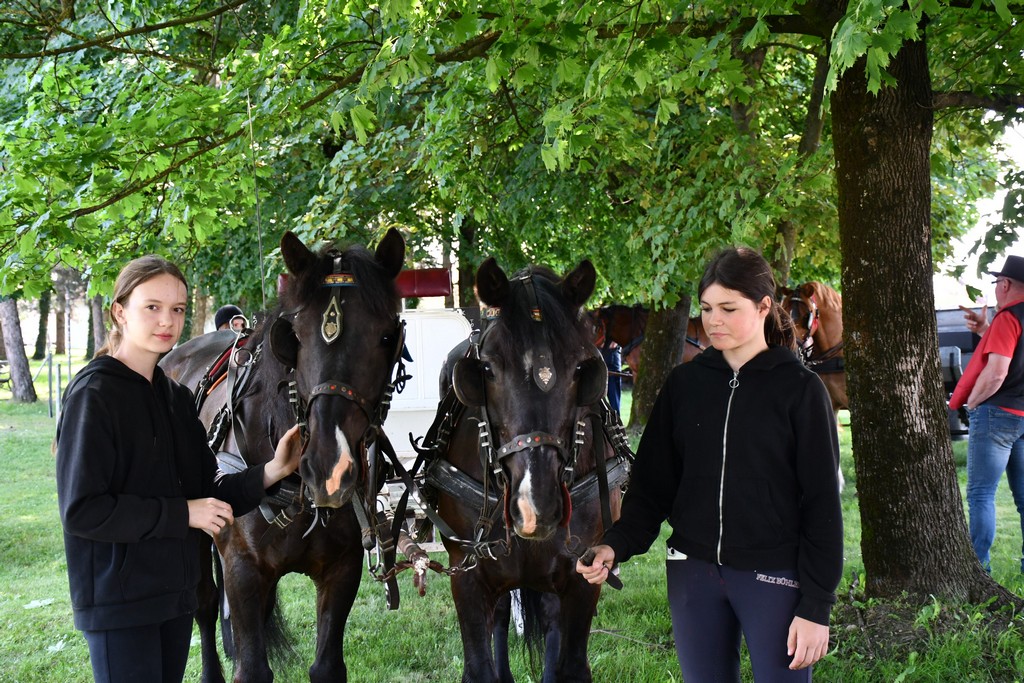 VIDEO I FOTO Međunarodno konjičko druženje okupilo brojne uzgajivače konja iz SZ Hrvatske te Slovenije i Austrije