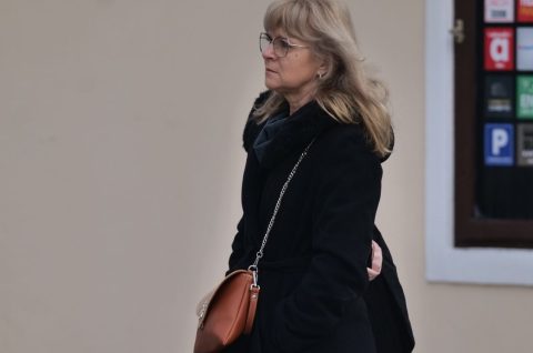 čakovečka špica, stil