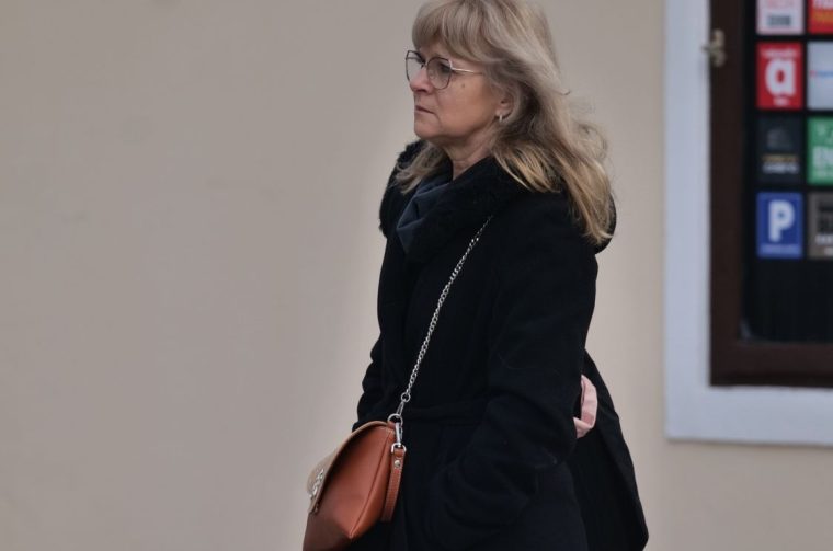 čakovečka špica, stil