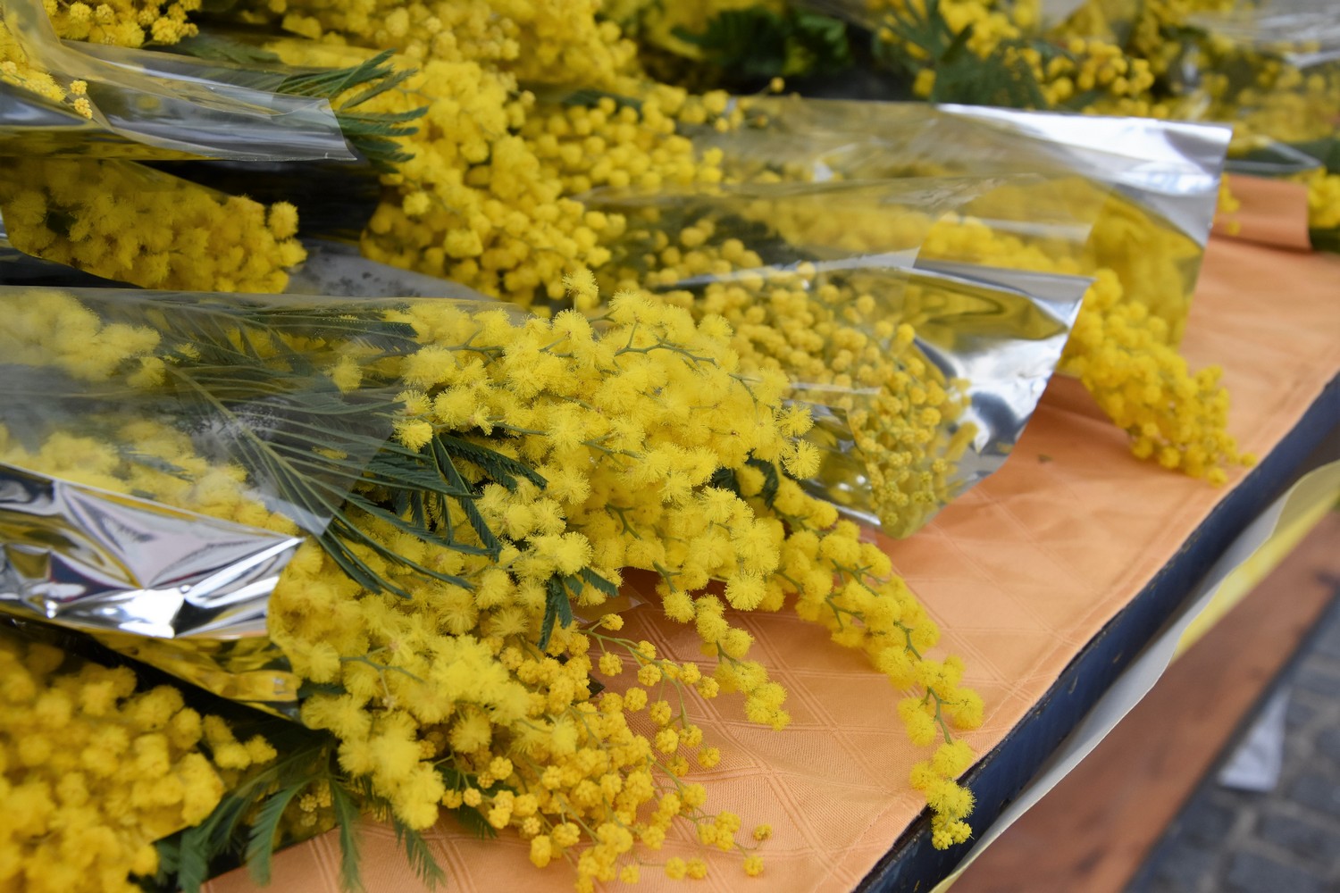 Dan mimoza u Čakovcu