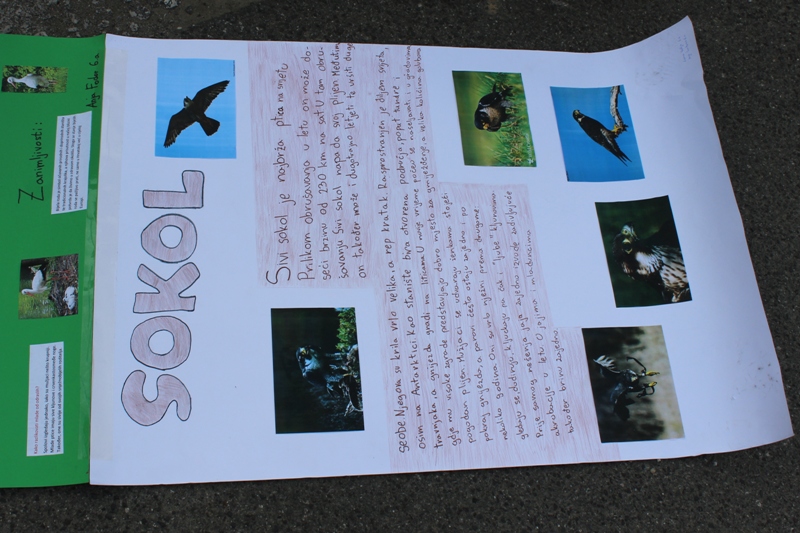 flashmobpribislavec201616177085