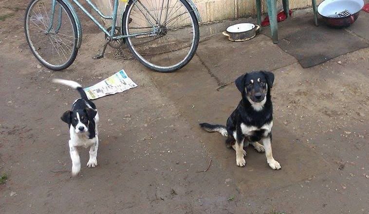 1231651111861307647349362899145