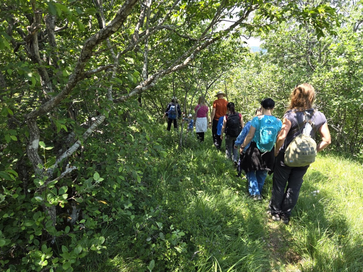 02-09 Planinarenje lijepim velebitskim šumama