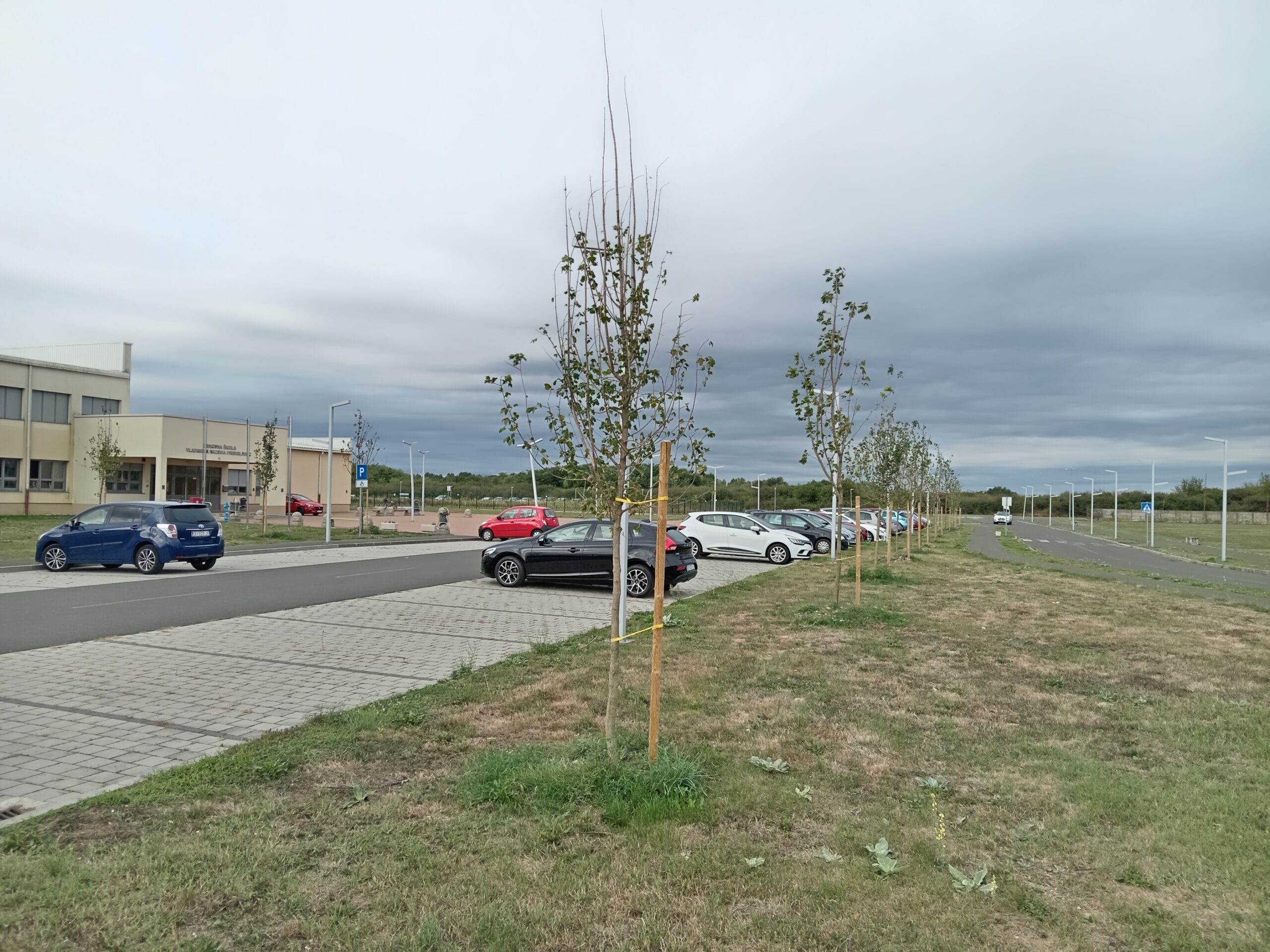 OŠ Pribislavec drvored uz parkiralište OŠ Pribislavec