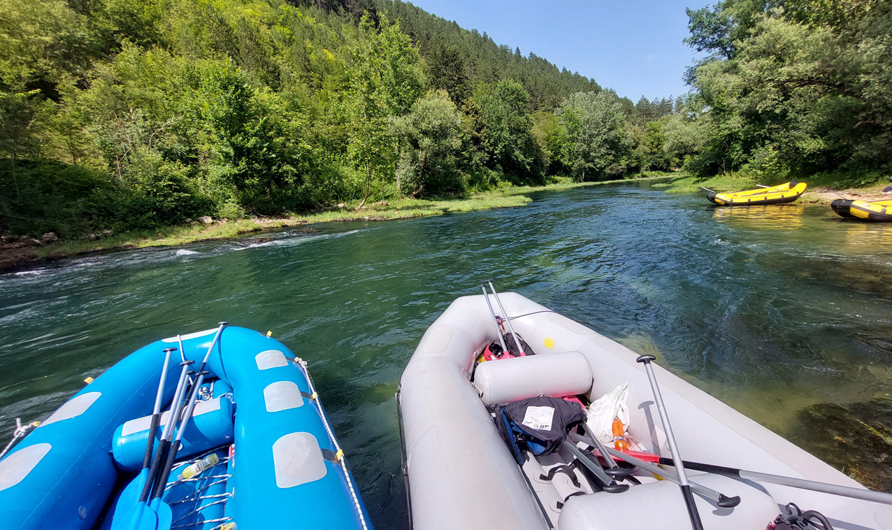 Raftingom po Uni, Labudovi se pripremali za Lov na labuđe pero