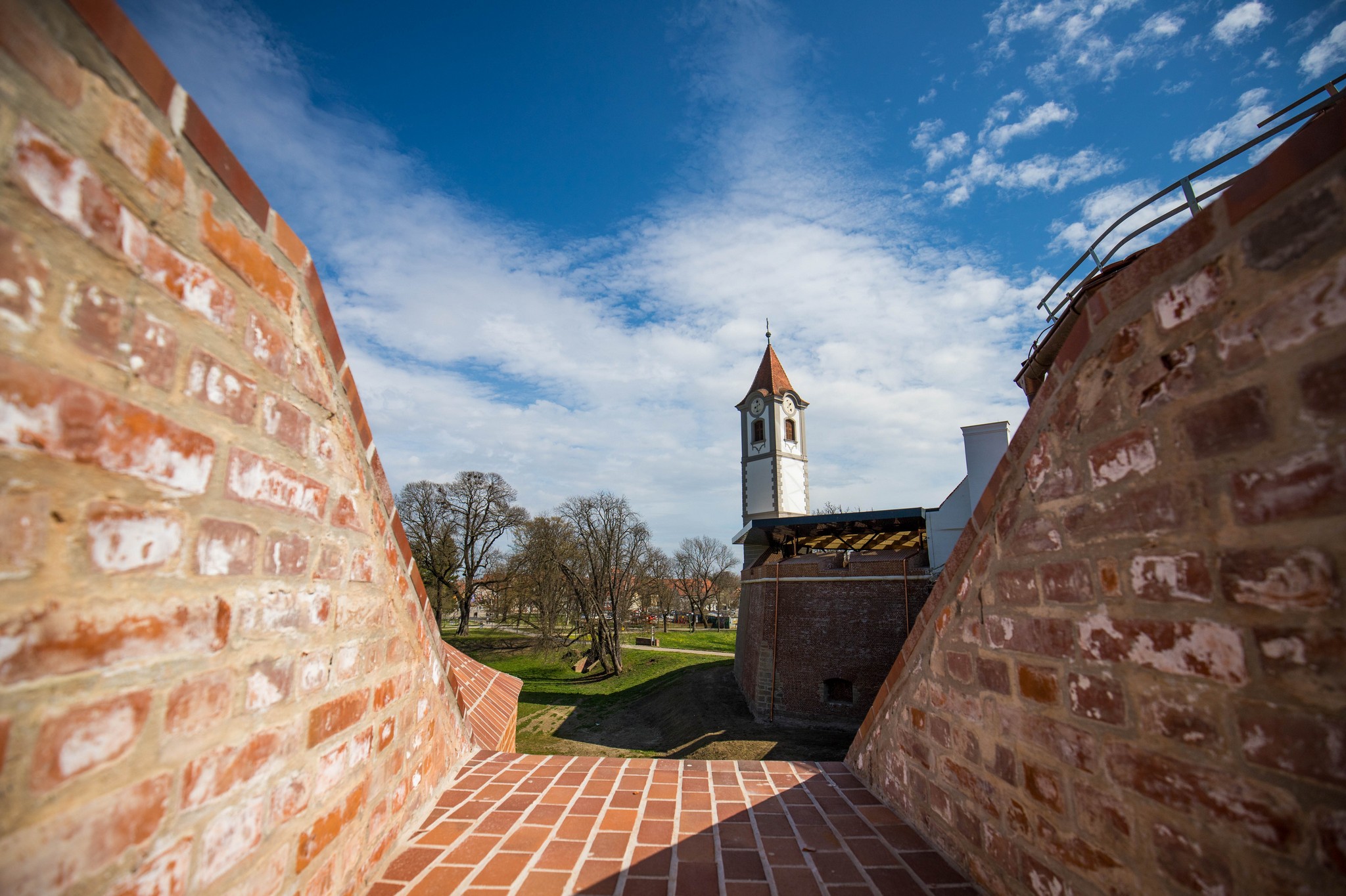 Proljetna cvjetna rapsodija u Međimurju iz objektiva Miroslave Novak Hranjec