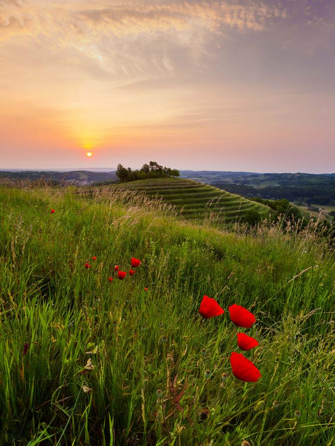 Fotografije koje će vas oduševiti – autori Davor Žerjav i Silvio Benč