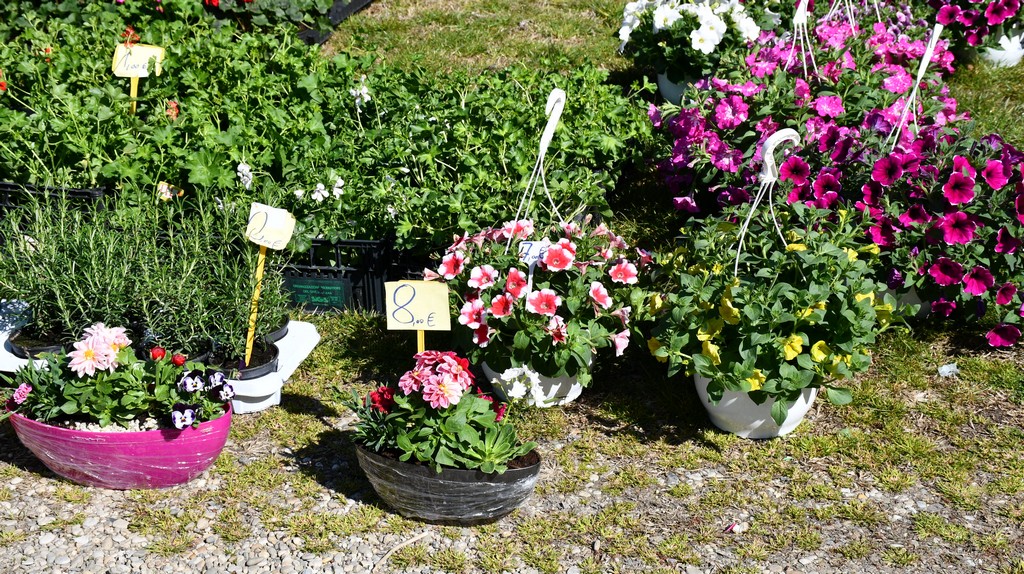 Proljetne temperature izmamile brojne posjetitelje na sajam u Čakovcu