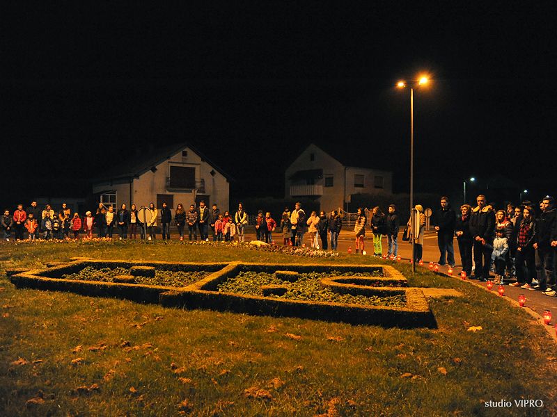 321213583dsc3314943864