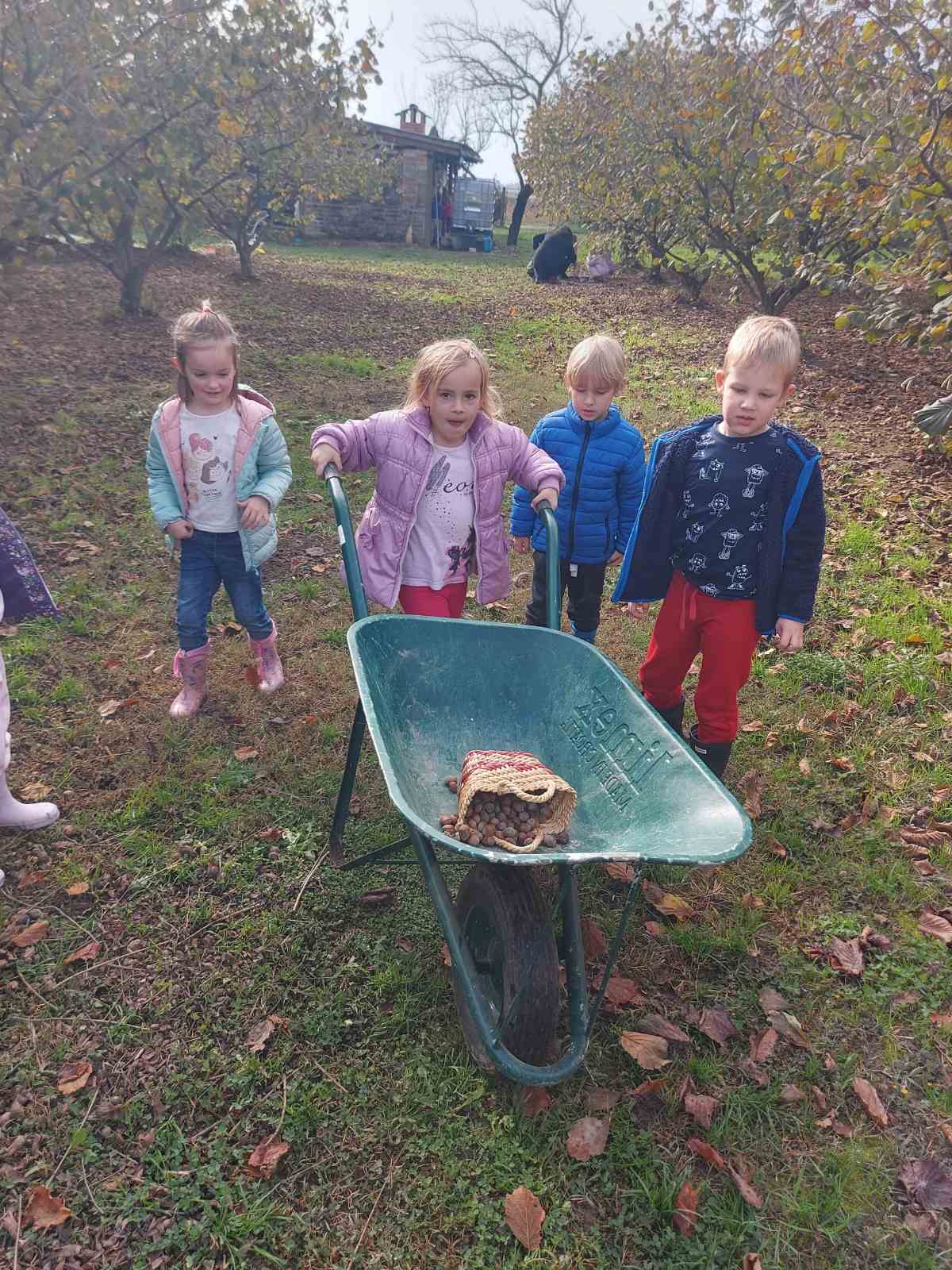 ‘Suncokreti’ iz čakovečkog vrtića Cvrčak posjetili lješnjikovac obitelji Sarač