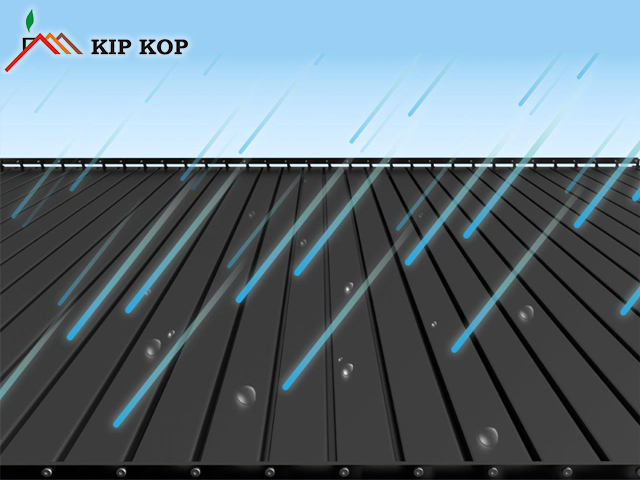 Image 5740861 (auto)