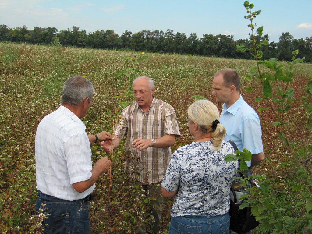 Boris Šafar – uvoznik žitarica