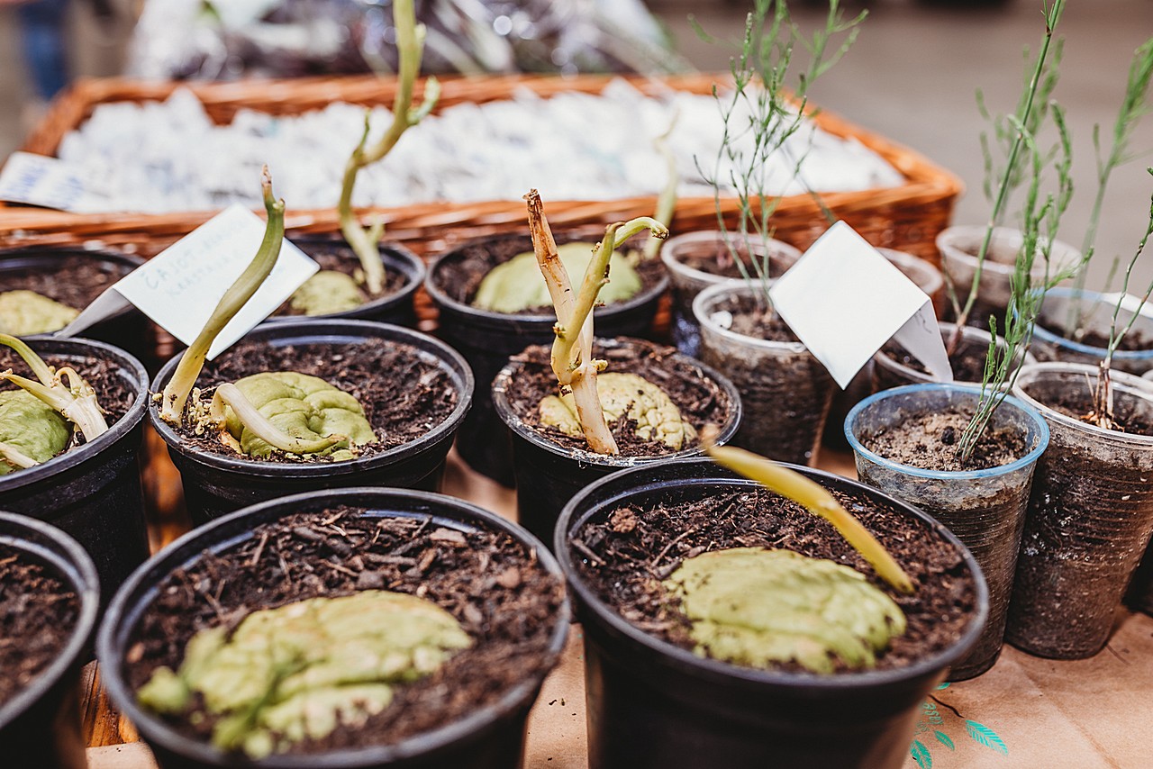 Prvi Regionalni plac na Mesapu u Nedelišću oduševio brojne posjetitelje