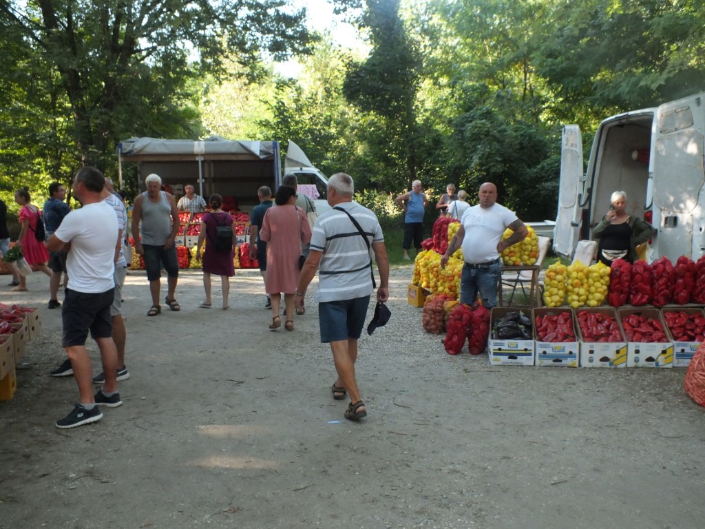 Image 5810859 (auto)