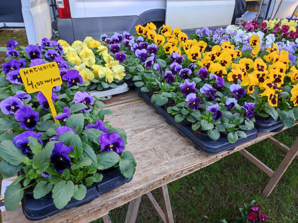 Čakovečki sajam srijedom (5.10.2022.)