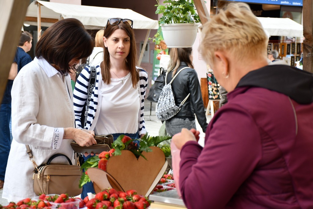 Festival jagoda, cvijeća i tradicije