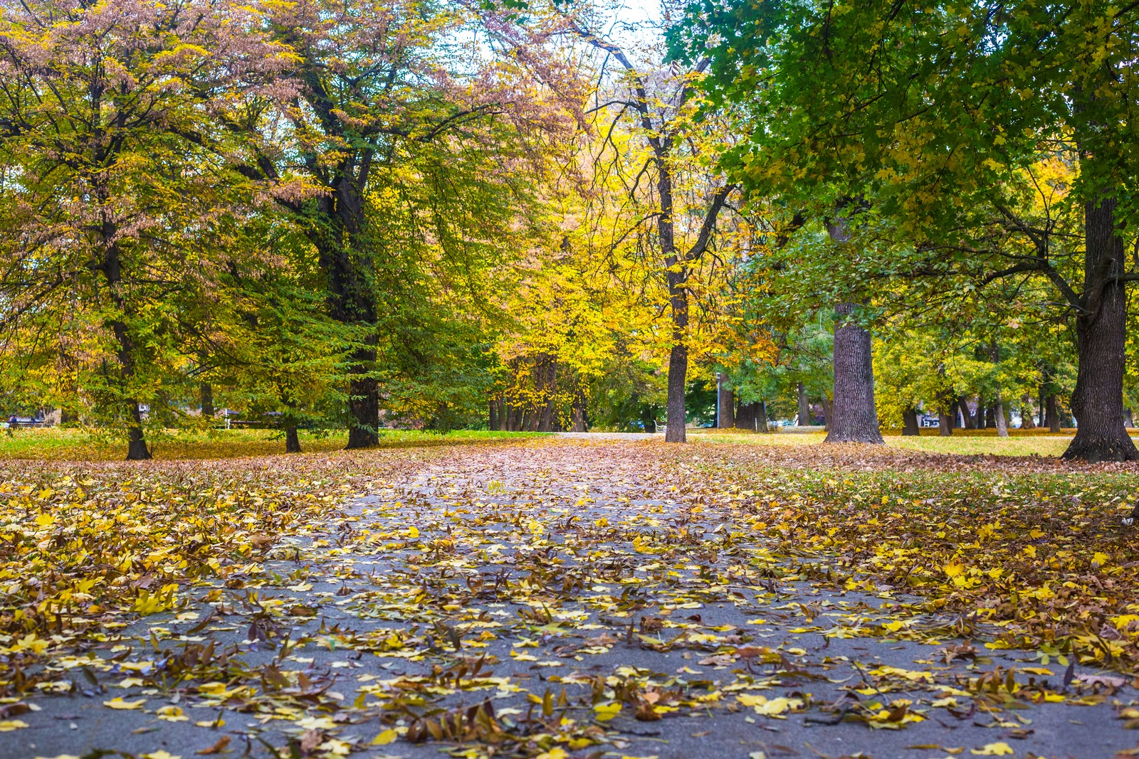 Čarobna jesen: Naša Miroslava Novak prošetala je čakovečkim parkom i snimila šarenilo jesenskih boja. Predivno, zar ne? (y) :-)