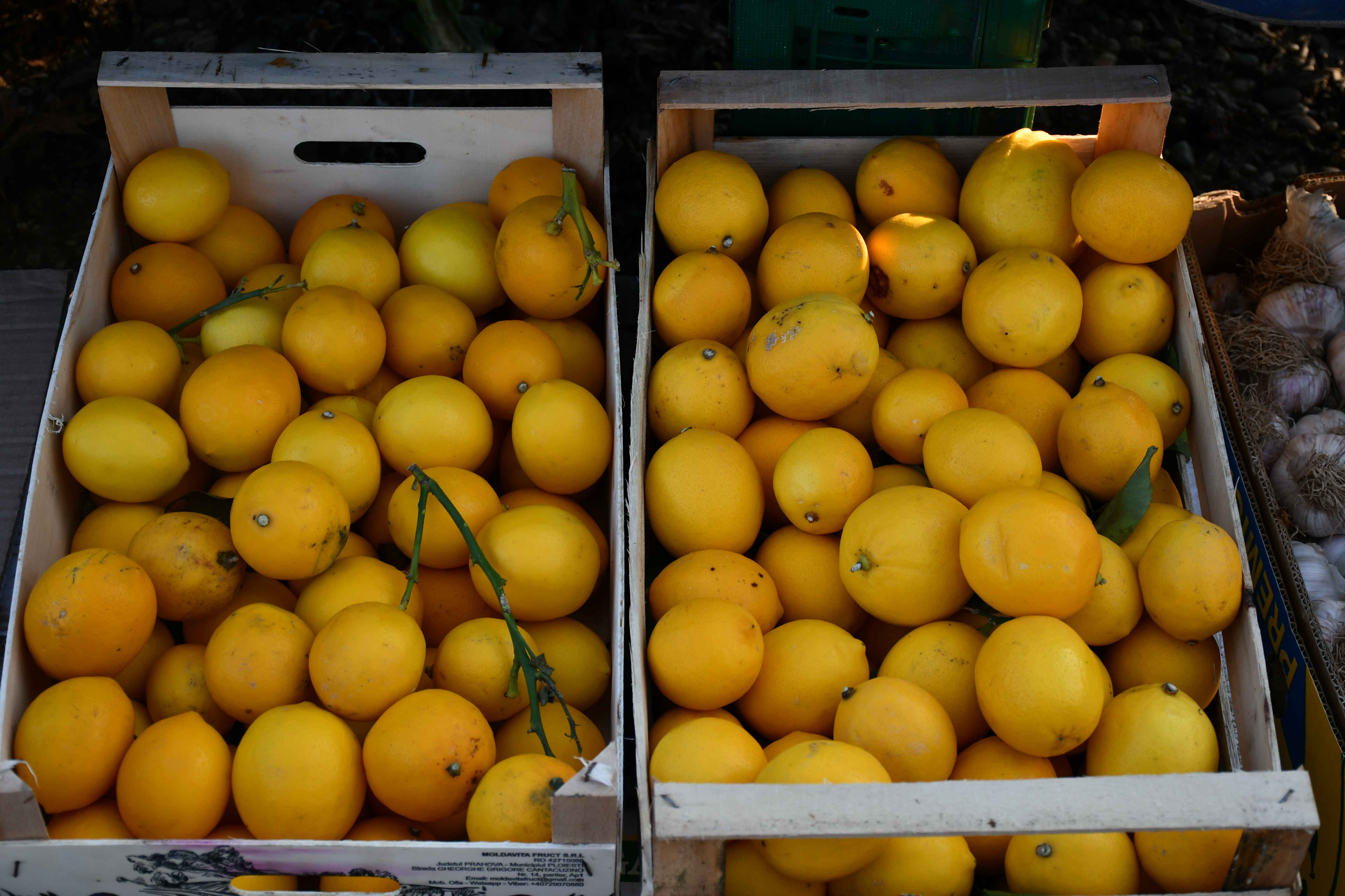 ZUBATO SUNCE Bogata ponuda voća i povrća na čakovečkom sajmu, a zaigrao se i šah!