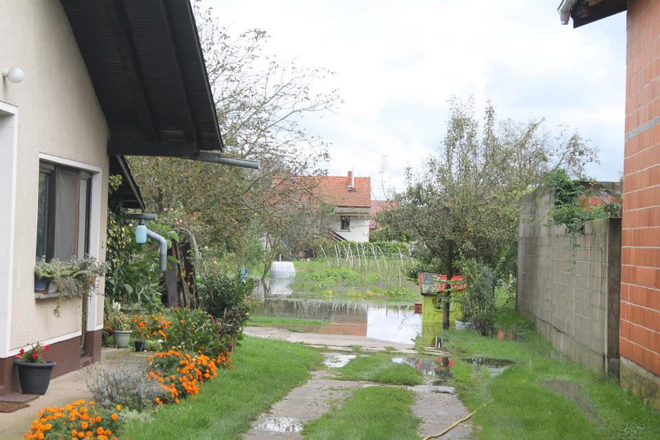 1061597682837352386429365661304