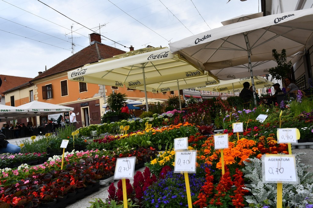 Festival jagoda, cvijeća i tradicije